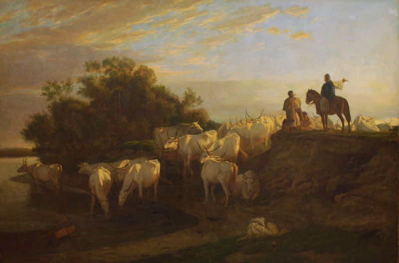 Ökörcsorda a Tisza mentén